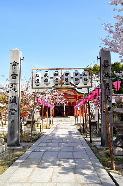 2014大阪賞櫻 自助旅行