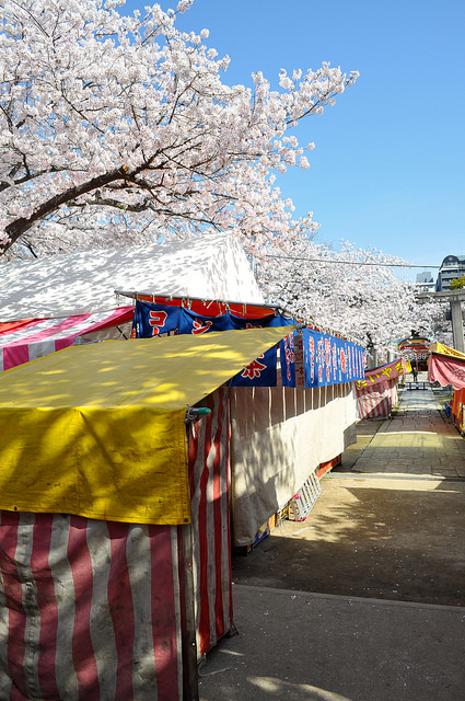 2014大阪賞櫻 自助旅行