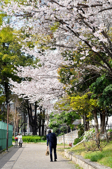 2014大阪賞櫻 自助旅行