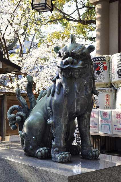 2014大阪賞櫻 自助旅行