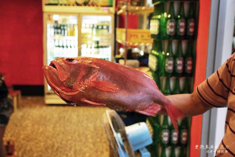 火日式串燒14.JPG 火日式串燒14.JPG