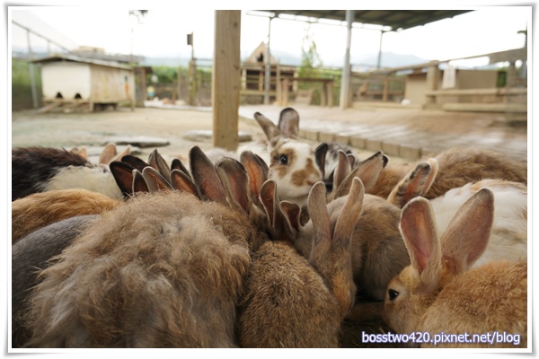 123DSC02096 123DSC02096