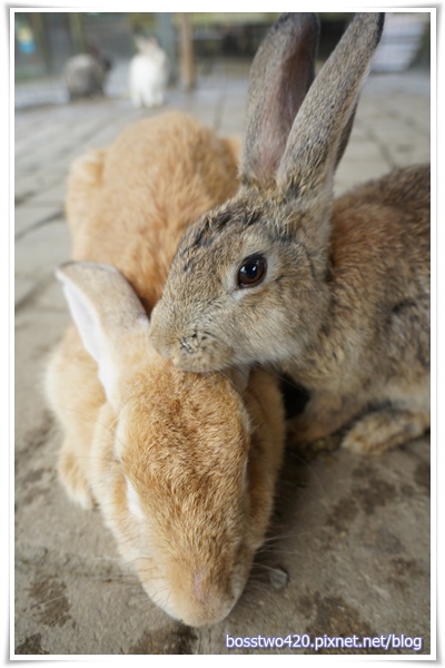 123DSC02208 123DSC02208