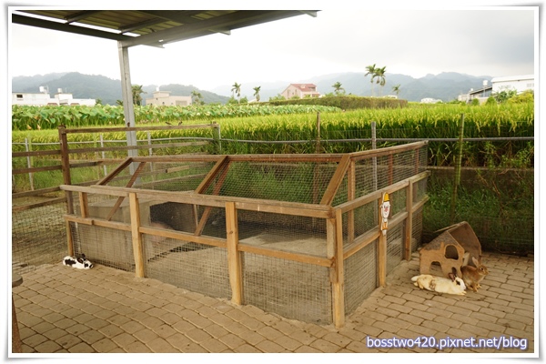 123DSC02134 123DSC02134