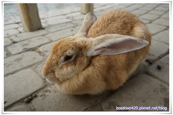 123DSC02198 123DSC02198