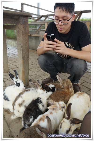 123DSC02190 123DSC02190