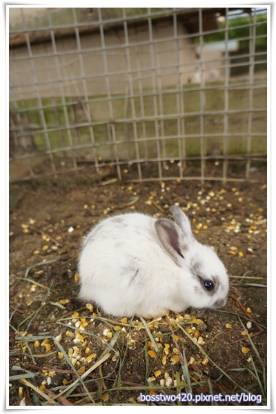 123DSC02116 123DSC02116