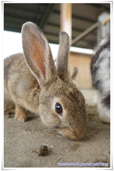 123DSC02100 123DSC02100