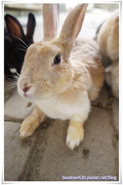 123DSC02077 123DSC02077