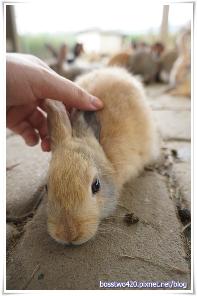 123DSC02109 123DSC02109