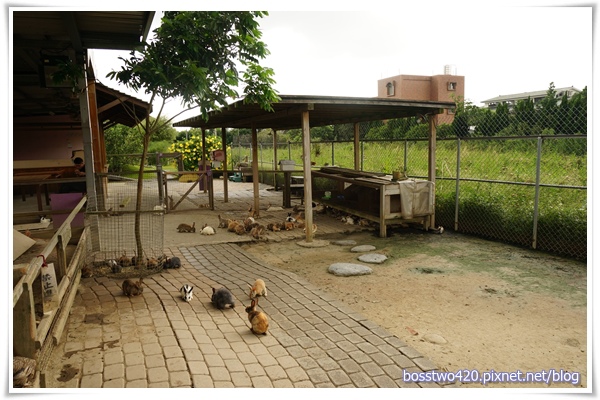 123DSC02137 123DSC02137