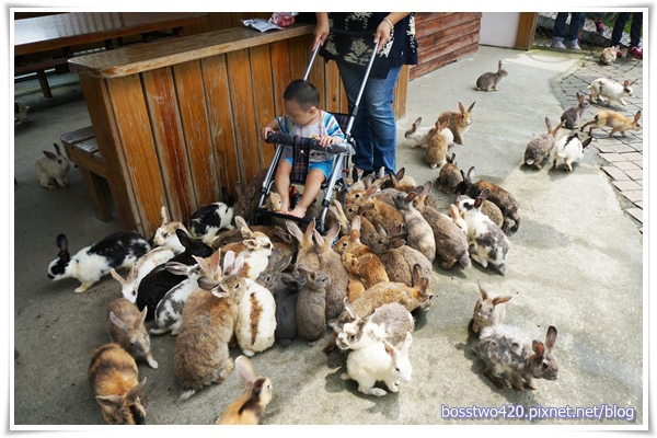 123DSC02254 123DSC02254