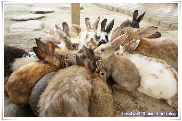 123DSC02091 123DSC02091