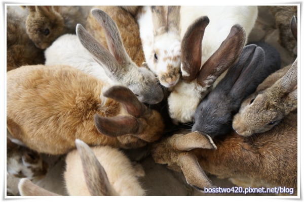 123DSC02155 123DSC02155