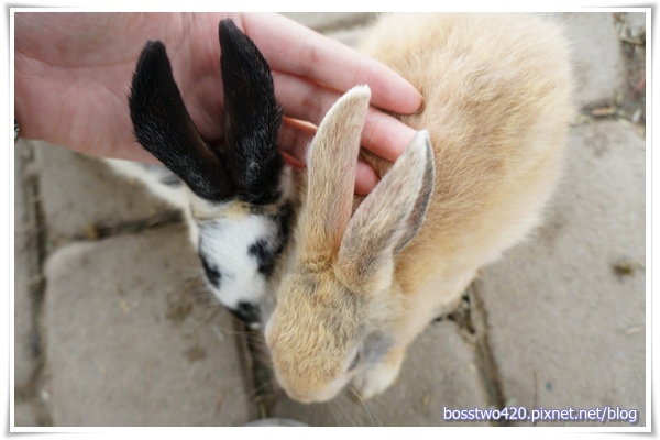 123DSC02112 123DSC02112