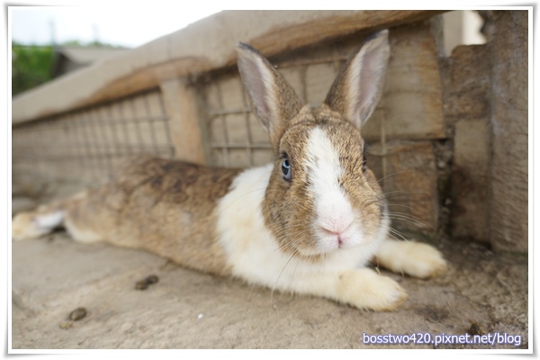 123DSC02131 123DSC02131