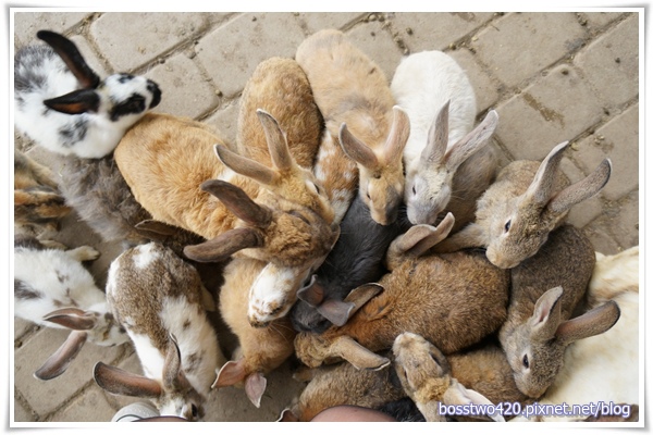 123DSC02165 123DSC02165