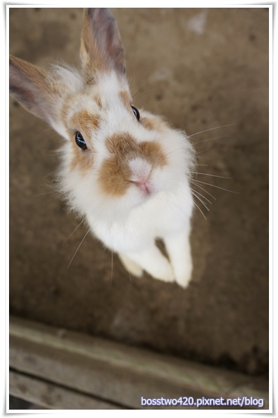 123DSC02120 123DSC02120