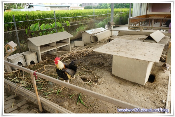 123DSC02135 123DSC02135