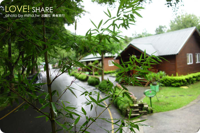 樹屋無菜單料理