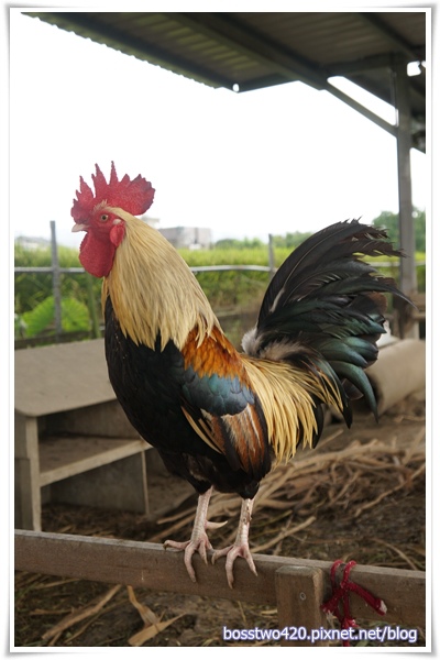 123DSC02148 123DSC02148