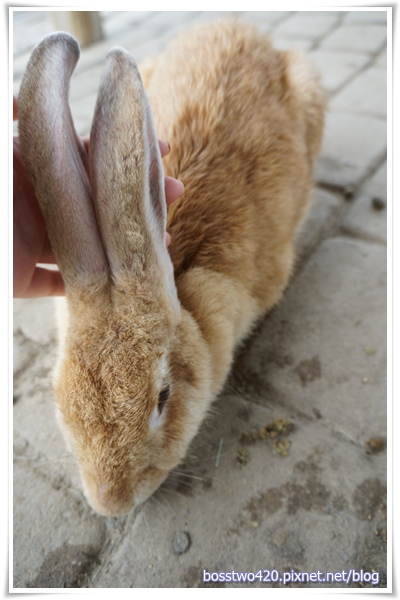 123DSC02203 123DSC02203