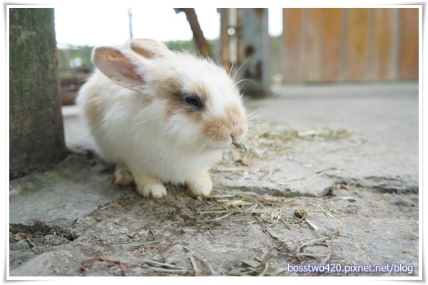 123DSC02063 123DSC02063