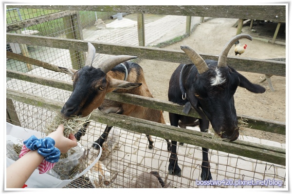 123DSC02038 123DSC02038