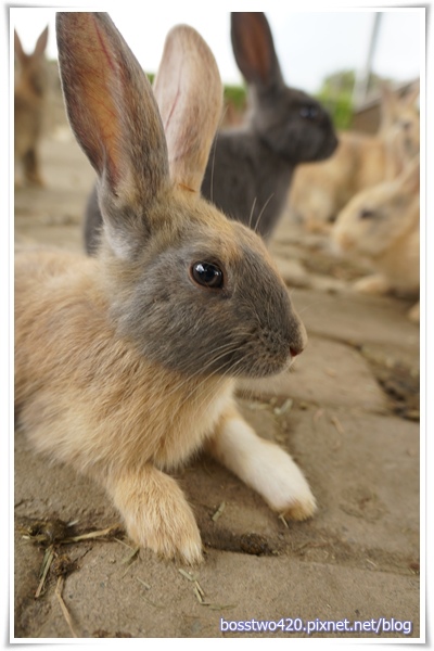 123DSC02094 123DSC02094