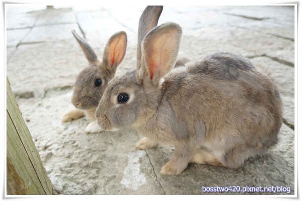 123DSC02062 123DSC02062