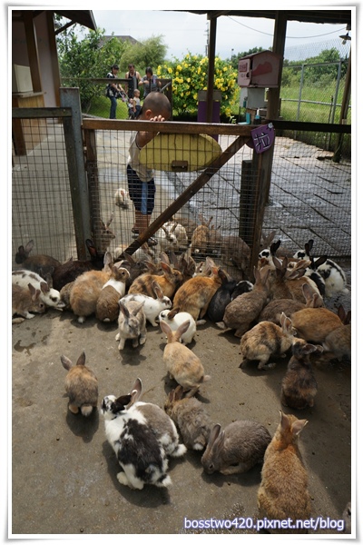 123DSC02250 123DSC02250