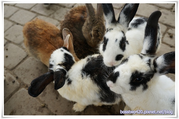 123DSC02200 123DSC02200