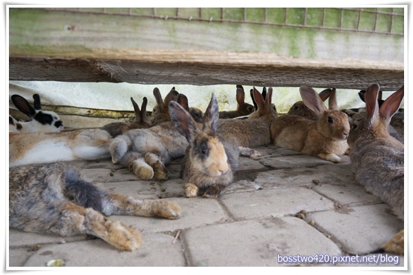 123DSC02071 123DSC02071