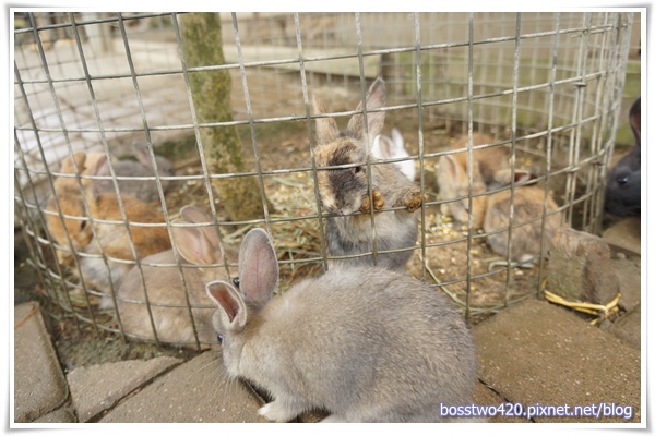 123DSC02113 123DSC02113