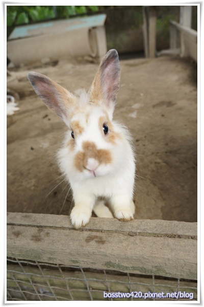 123DSC02124 123DSC02124