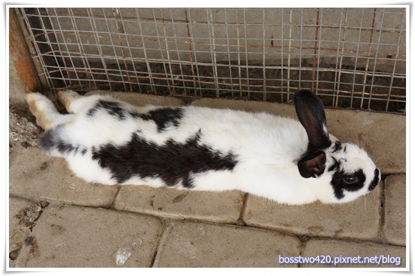 123DSC02146 123DSC02146