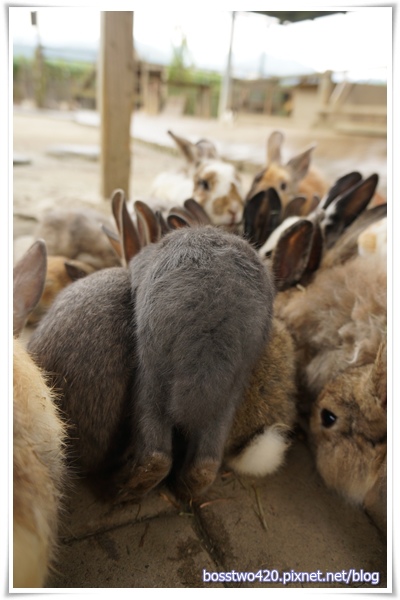 123DSC02080 123DSC02080