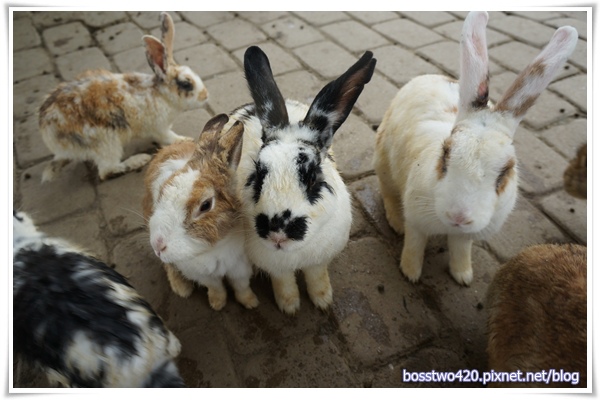 123DSC02189 123DSC02189