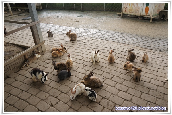 123DSC02186 123DSC02186