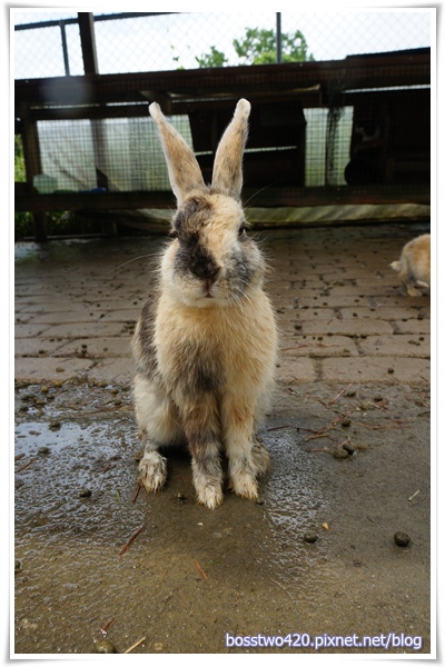 123DSC02235 123DSC02235