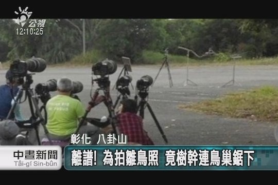 274153_Still0720_00003