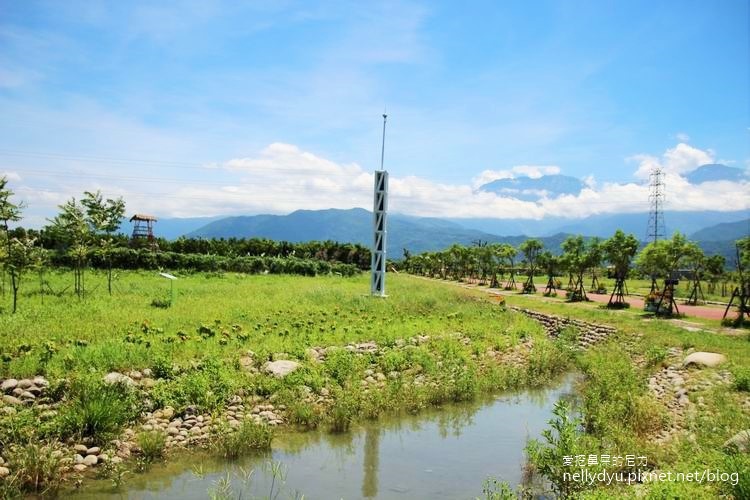 林後四林24.JPG 林後四林24.JPG