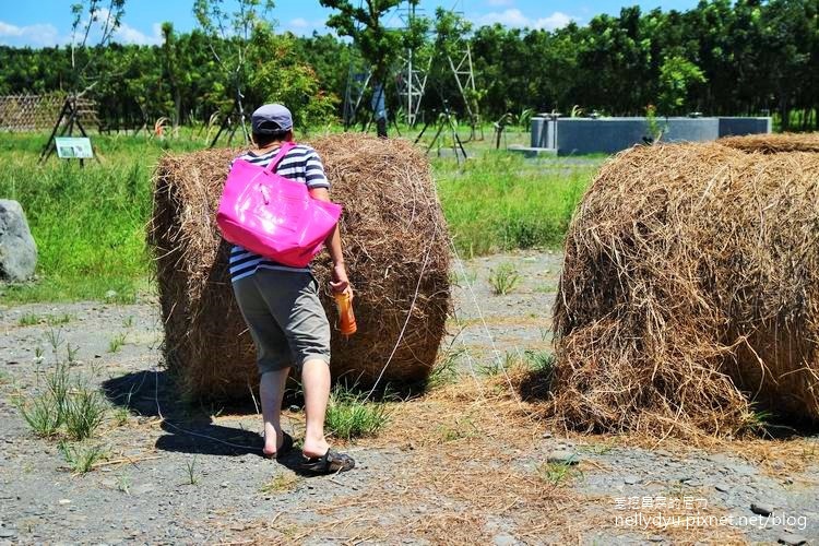 林後四林28.JPG 林後四林28.JPG