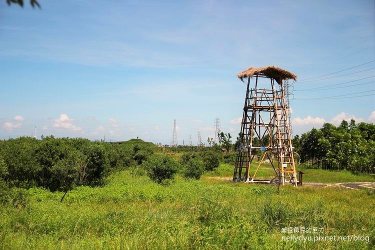 林後四林22.JPG 林後四林22.JPG