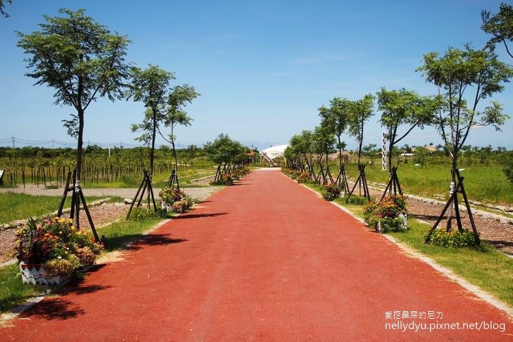 林後四林21.JPG 林後四林21.JPG