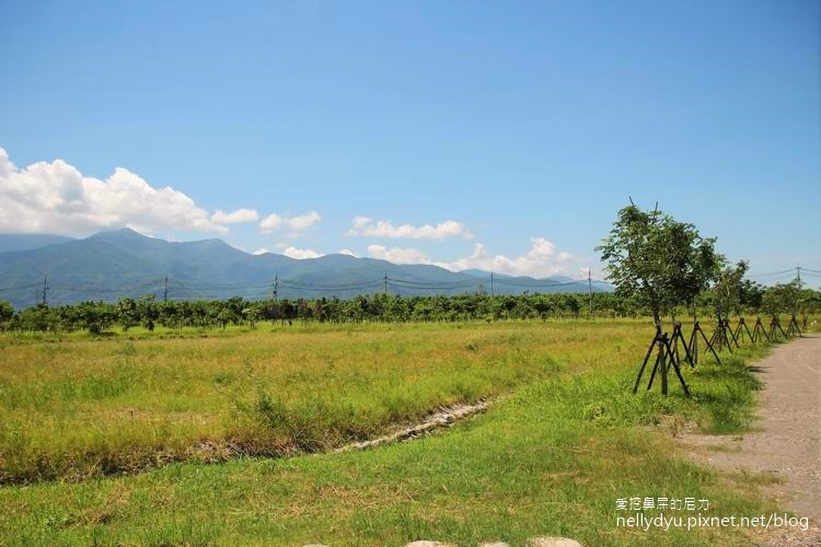 林後四林23.JPG 林後四林23.JPG