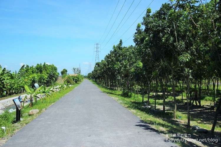 林後四林14.JPG 林後四林14.JPG