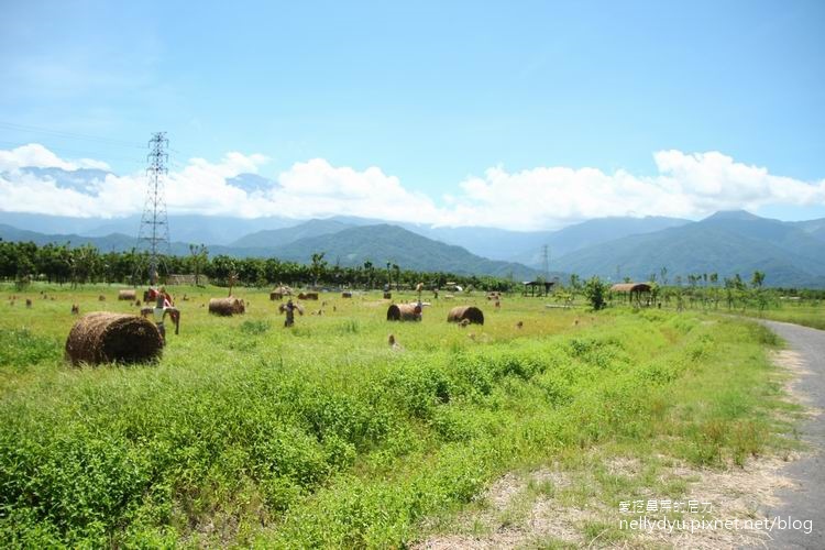 林後四林30.JPG 林後四林30.JPG