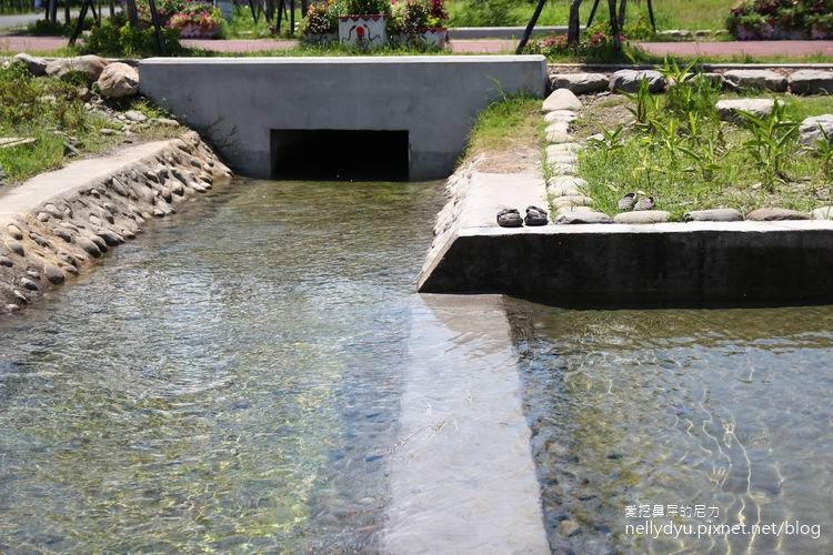 林後四林19.JPG 林後四林19.JPG