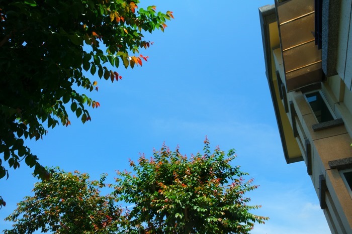 nx3000-2_017 nx3000-2_017